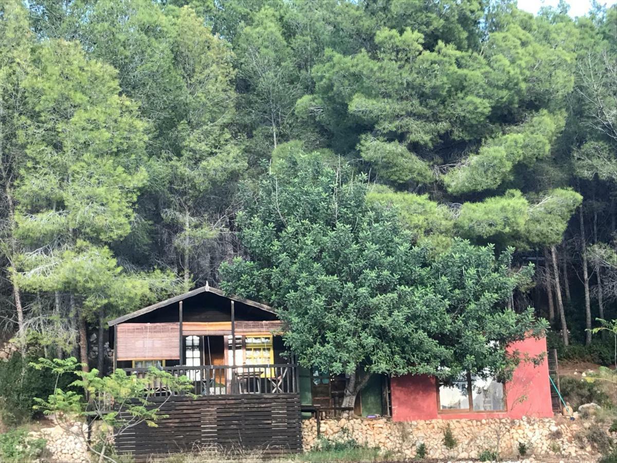 Bolulla Casa Del Pasoヴィラ エクステリア 写真